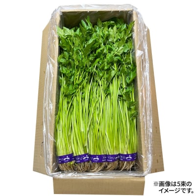【26年11月～発送】野菜 一町田せり 約520g せり 七草 先行受付|24_ism-010401