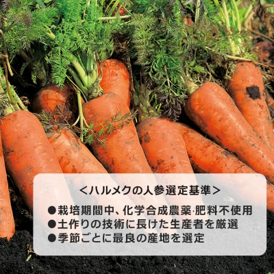 ハルメク 人参ジュース【缶】190g×10本|24_hal-021001