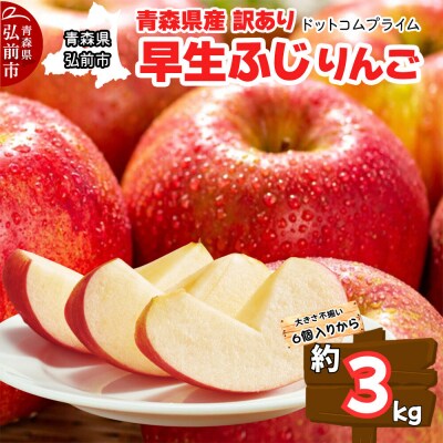 【26年10月中旬～11月下旬発送】りんご 早生ふじ 約3kg【訳あり】|24_dcp-070301