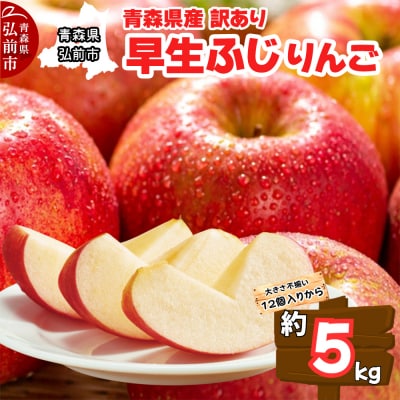 【25年10月〜発送】りんご【訳あり家庭用】早生ふじ 5kg 青森県産|24_dcp-070501