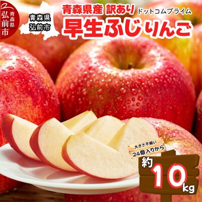【26年10月中旬～11月下旬発送】りんご 早生ふじ 約10kg 訳あり|24_dcp-071001