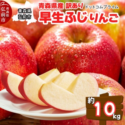 【26年10月中旬～11月下旬発送】りんご 早生ふじ 約10kg 訳あり|24_dcp-071001