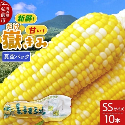 【26年10月中旬～発送】嶽きみ真空パック SSサイズ 10本|24_skl-011001a