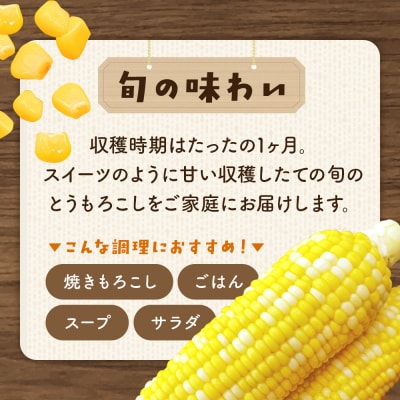 嶽きみ真空パック SSサイズ 10本|24_skl-011001a