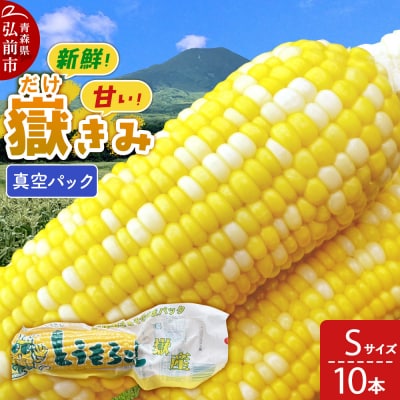 嶽きみ真空パック Sサイズ 10本|24_skl-011001b