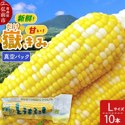 【26年10月中旬～発送】嶽きみ真空パック Lサイズ 10本|24_skl-011001d