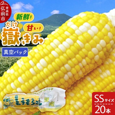 【26年10月中旬～発送】嶽きみ真空パック SSサイズ 20本|24_skl-012001a