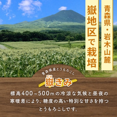 【26年10月中旬～発送】嶽きみ真空パック Sサイズ 20本|24_skl-012001b