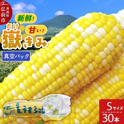 嶽きみ真空パック Sサイズ 30本|24_skl-013001b