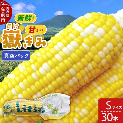 【26年10月中旬～発送】嶽きみ真空パック Sサイズ 30本|24_skl-013001b