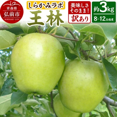 りんご 【26年12月中旬～発送】王林【訳あり】約3kg 先行受付|24_skl-060301