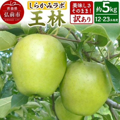 りんご 【26年12月中旬～発送】王林【訳あり】約5kg 先行受付|24_skl-060501