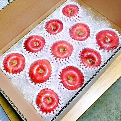 りんご 【26年12月中旬～発送】サンふじ【贈答用】約3kg 先行受付|24_skl-070301