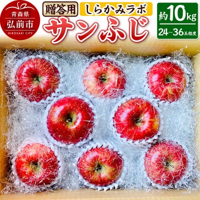 りんご 【26年12月中旬～発送】サンふじ【贈答用】約10kg 先行受付|24_skl-071001