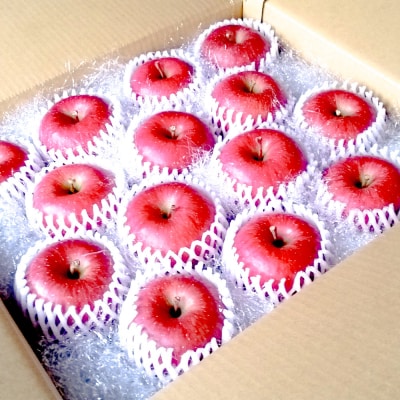 【25年12月～発送】りんご サンふじ 贈答用 約10kg|24_skl-071001