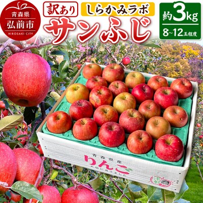 【25年12月～発送】りんご サンふじ【訳あり】約3kg|24_skl-080301