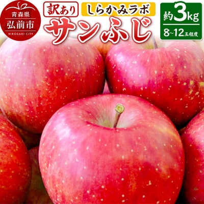 りんご 【26年12月中旬～発送】サンふじ【訳あり】約3kg 先行受付|24_skl-080301