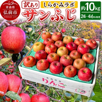 りんご 【26年12月中旬～発送】サンふじ【訳あり】約10kg 先行受付|24_skl-081001