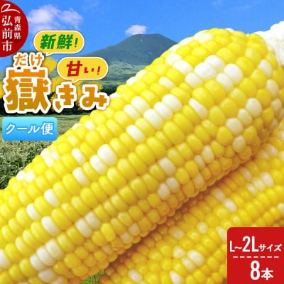 【26年8月下旬～クール便発送】嶽きみ【先行受付】L～2L 8本|24_skl-020801