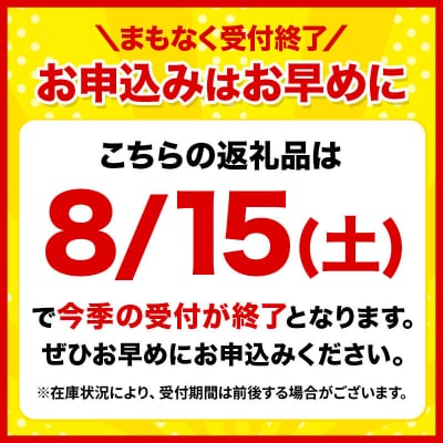 【26年8月下旬～クール便発送】嶽きみ【先行受付】L～2L 8本|24_skl-020801