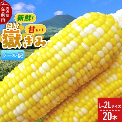 【26年8月下旬～クール便発送】嶽きみ【先行受付】L～2L 20本|24_skl-022001