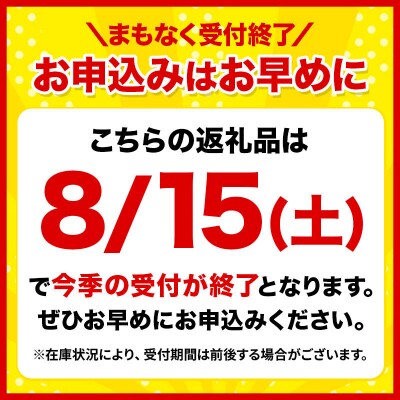 【26年8月下旬～クール便発送】嶽きみ【先行受付】L～2L 20本|24_skl-022001