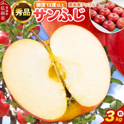 りんご 【糖度13度以上】サンふじ 約3kg 【秀品】 青森県|24_eba-010301