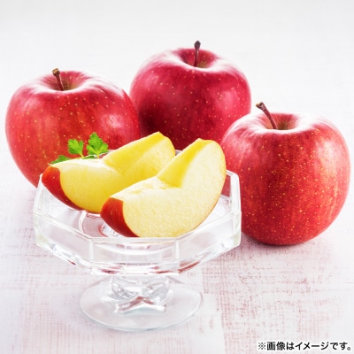 りんご 【糖度13度以上】サンふじ 約3kg 【秀品】 青森県|24_eba-010301