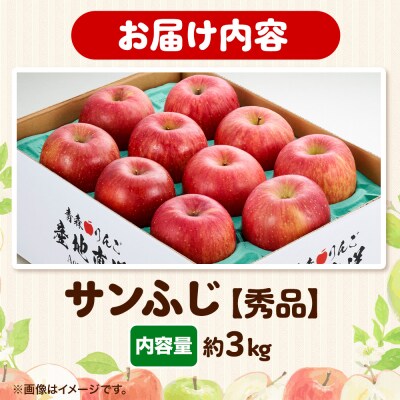 りんご 【糖度13度以上】サンふじ 約3kg 【秀品】 青森県|24_eba-010301