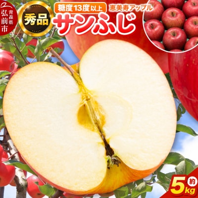 りんご 【糖度13度以上】サンふじ 約5kg 【秀品】 青森県|24_eba-010501