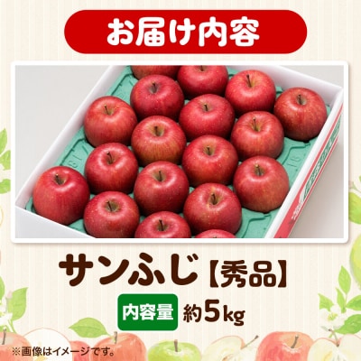りんご サンふじ【秀品】約5kg 糖度13度以上 先行受付|24_eba-010501
