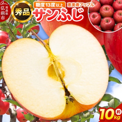 りんご 【糖度13度以上】サンふじ 約10kg 【秀品】 青森県|24_eba-011001