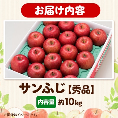 りんご サンふじ【秀品】約10kg 糖度13度以上 先行受付|24_eba-011001