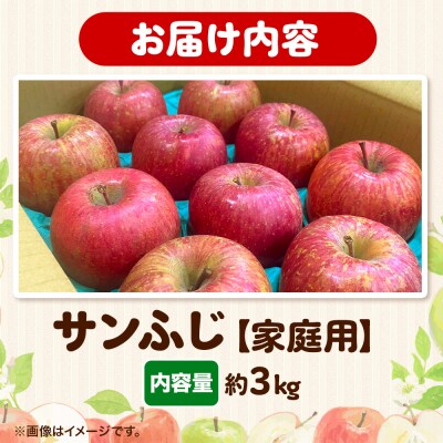 りんご 【糖度13度以上】サンふじ 約3kg 【家庭用】|24_eba-020301