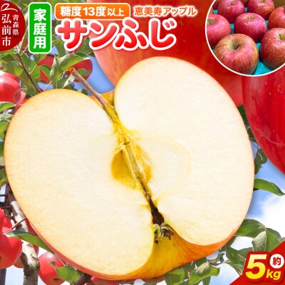 りんご 【糖度13度以上】サンふじ 約5kg 【家庭用】|24_eba-020501