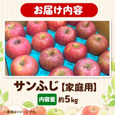 りんご 【糖度13度以上】サンふじ 約5kg 【家庭用】|24_eba-020501