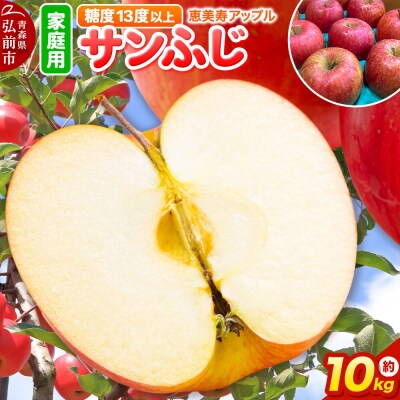 りんご サンふじ【家庭用】約10kg 糖度13度以上 先行受付|24_eba-021001