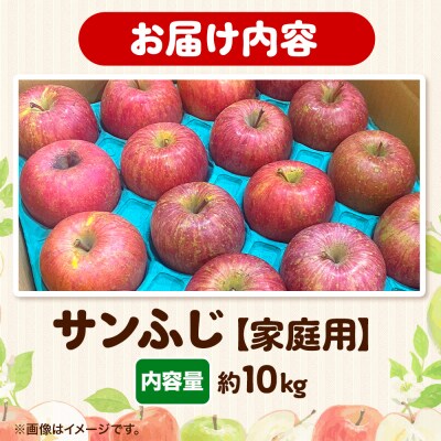 りんご 【糖度13度以上】サンふじ 約10kg 【家庭用】|24_eba-021001
