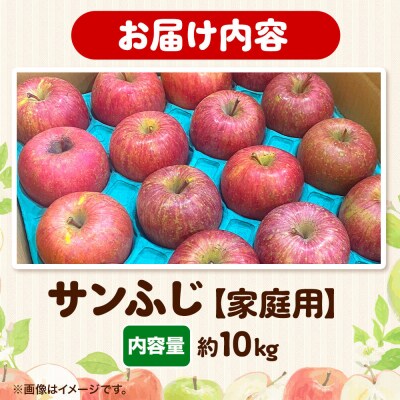 りんご サンふじ【家庭用】約10kg 糖度13度以上 先行受付|24_eba-021001