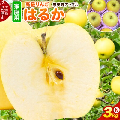 りんご 【高級りんご・はるか】はるか 約3kg 【家庭用】|24_eba-030301