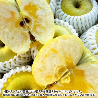 りんご 【高級りんご・はるか】はるか 約3kg 【家庭用】|24_eba-030301