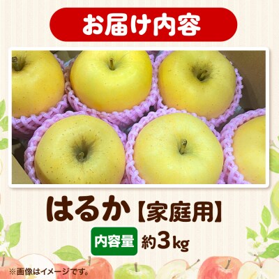 りんご 【高級りんご・はるか】はるか 約3kg 【家庭用】|24_eba-030301