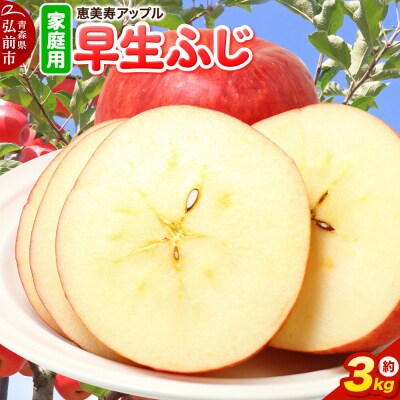 りんご 【一足早くふじの味】早生ふじ【家庭用】約3kg|24_eba-040301