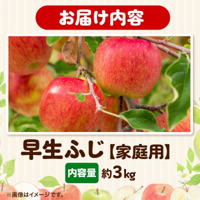 りんご 【一足早くふじの味】早生ふじ【家庭用】約3kg|24_eba-040301