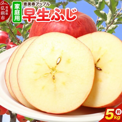 りんご 【一足早くふじの味】早生ふじ【家庭用】約5kg|24_eba-040501
