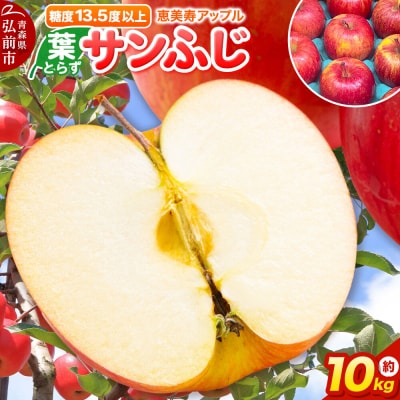 りんご 葉とらずサンふじ【家庭用】約10kg 糖度13.5度以上先行受付|24_eba-051001