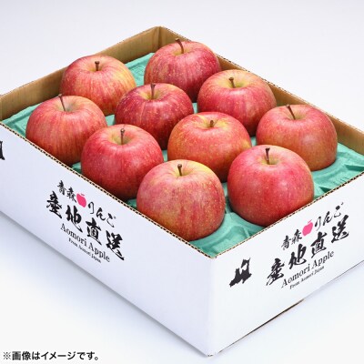 りんご 【糖度13.5度以上】サンふじ 約10kg 葉とらず 青森県|24_eba-051001