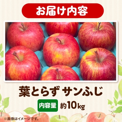 りんご 葉とらずサンふじ【家庭用】約10kg 糖度13.5度以上先行受付|24_eba-051001