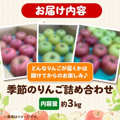 りんご 季節のおすすめBOX【家庭用】約3kg 詰め合わせ 先行受付|24_eba-060301