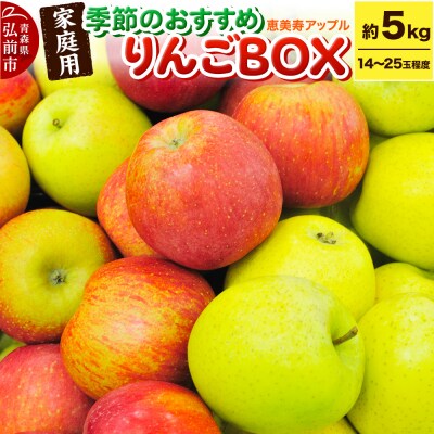 【品種お任せ】季節のおすすめりんご 詰め合わせ 約5kg 家庭用 青森県|24_eba-060501